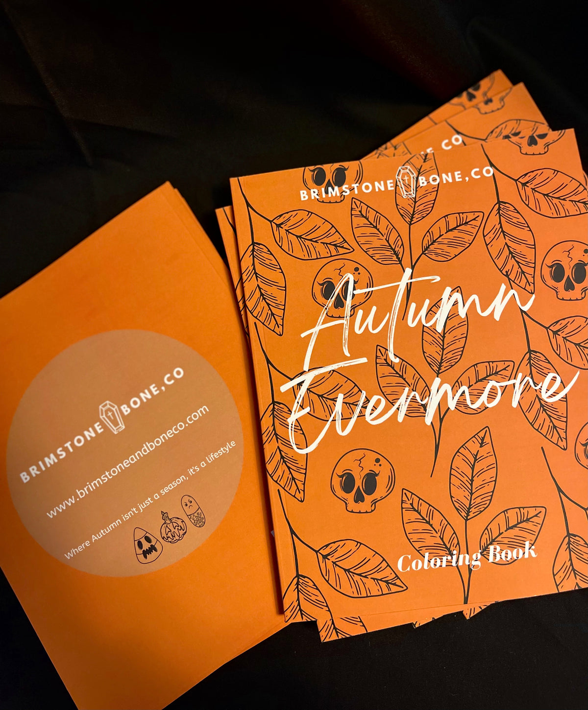 Autumn Evermore Coloring Book